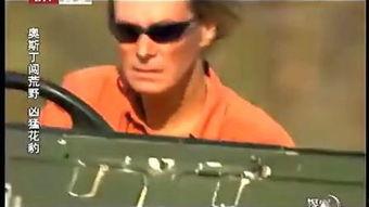 奥斯汀书会在线播放,经典文学的魅力重现