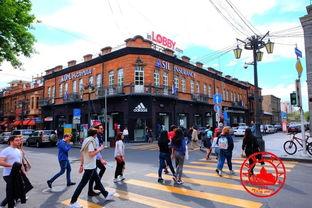 高加索明星,探寻璀璨星河中的璀璨明珠