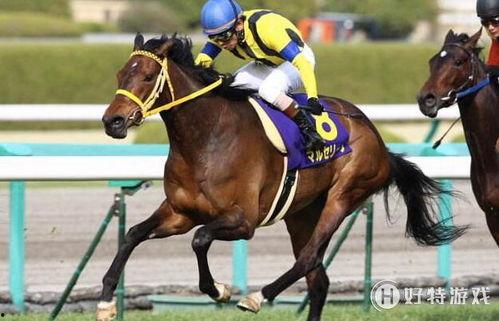 日本棒球工资,揭秘球员工资构成与涨薪之道