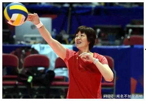 排球明星
