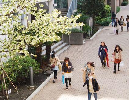 女子学院 日本,女子学院里的日本风情画卷