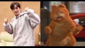 加菲猫舞蹈视频,萌态尽显网络狂欢盛宴